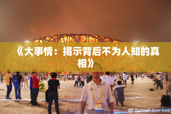《大事情：揭示背后不为人知的真相》