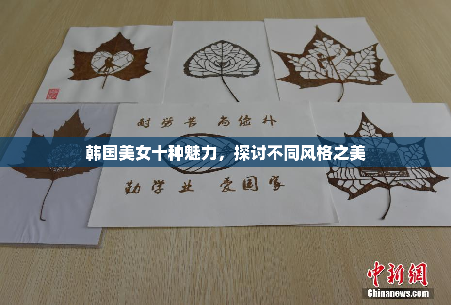 韩国美女十种魅力，探讨不同风格之美