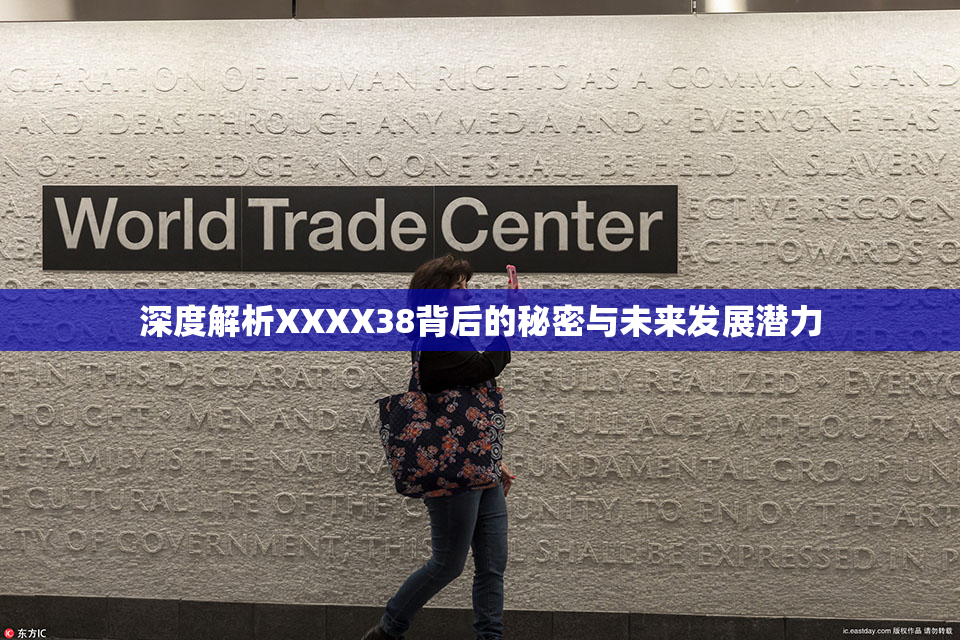 深度解析XXXX38背后的秘密与未来发展潜力