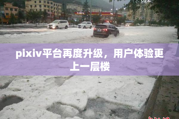 pixiv平台再度升级，用户体验更上一层楼