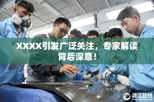XXXX引发广泛关注，专家解读背后深意！