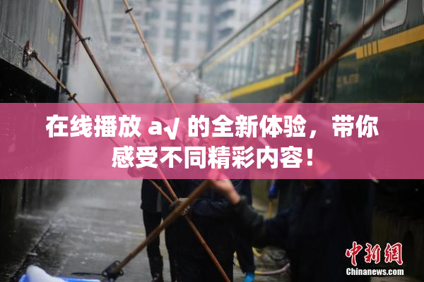 在线播放 a√ 的全新体验，带你感受不同精彩内容！