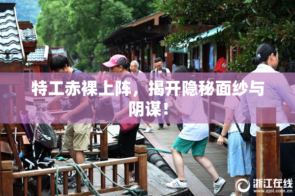 特工赤裸上阵，揭开隐秘面纱与阴谋！