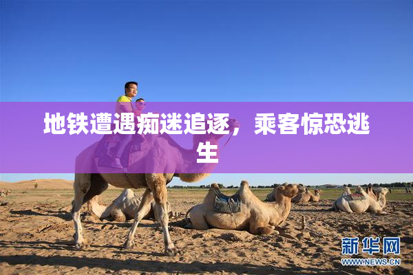 地铁遭遇痴迷追逐，乘客惊恐逃生