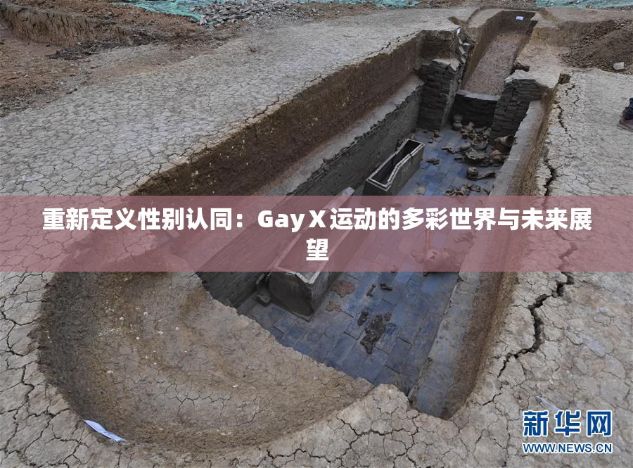 重新定义性别认同：GayⅩ运动的多彩世界与未来展望