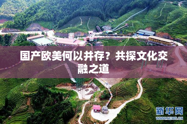 国产欧美何以并存？共探文化交融之道