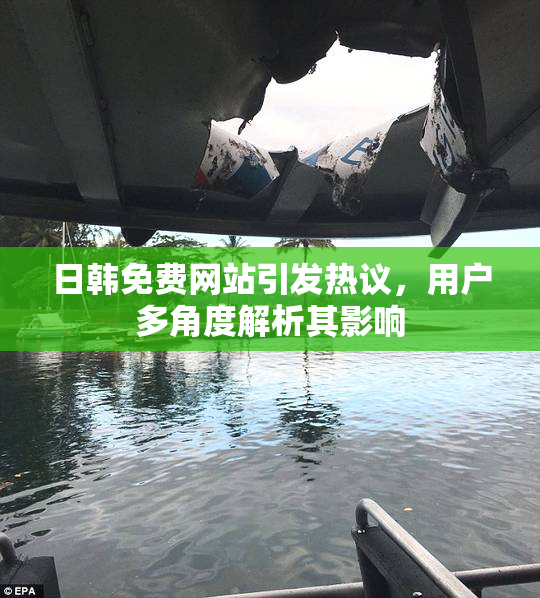 日韩免费网站引发热议，用户多角度解析其影响
