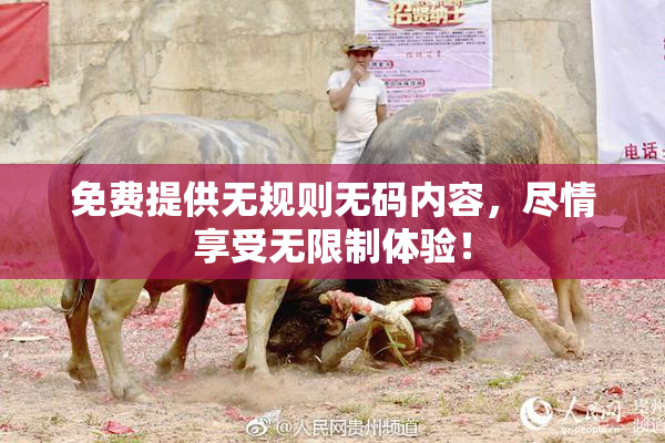 免费提供无规则无码内容，尽情享受无限制体验！