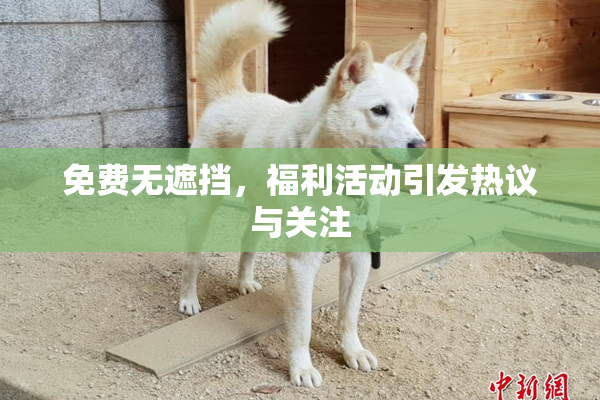 免费无遮挡，福利活动引发热议与关注