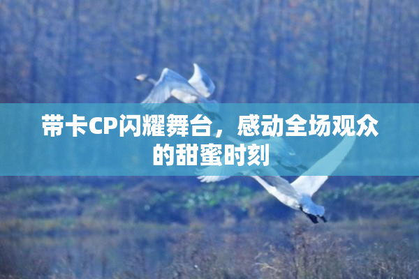 带卡CP闪耀舞台，感动全场观众的甜蜜时刻