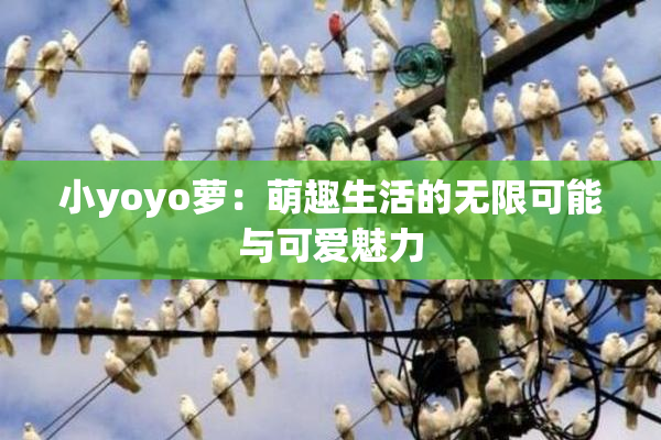 小yoyo萝：萌趣生活的无限可能与可爱魅力