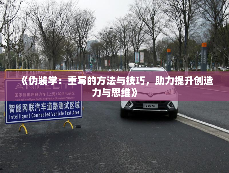 《伪装学：重写的方法与技巧，助力提升创造力与思维》
