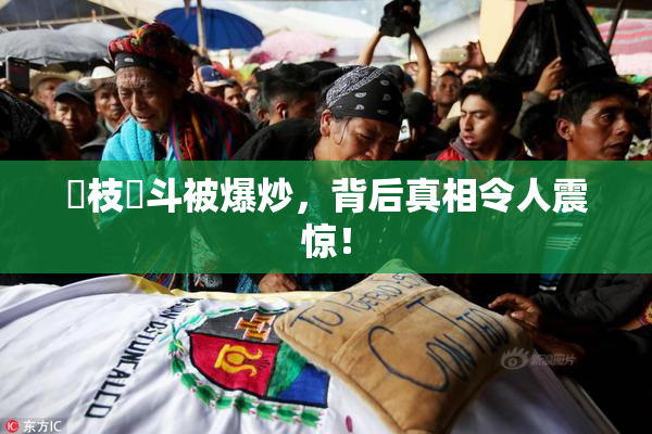 狛枝凪斗被爆炒，背后真相令人震惊！