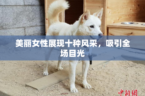 美丽女性展现十种风采，吸引全场目光