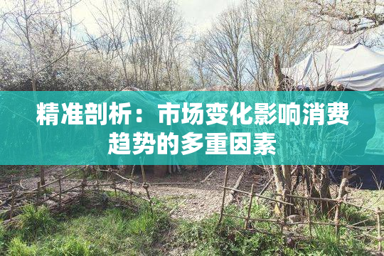 精准剖析：市场变化影响消费趋势的多重因素