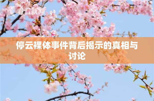 停云裸体事件背后揭示的真相与讨论