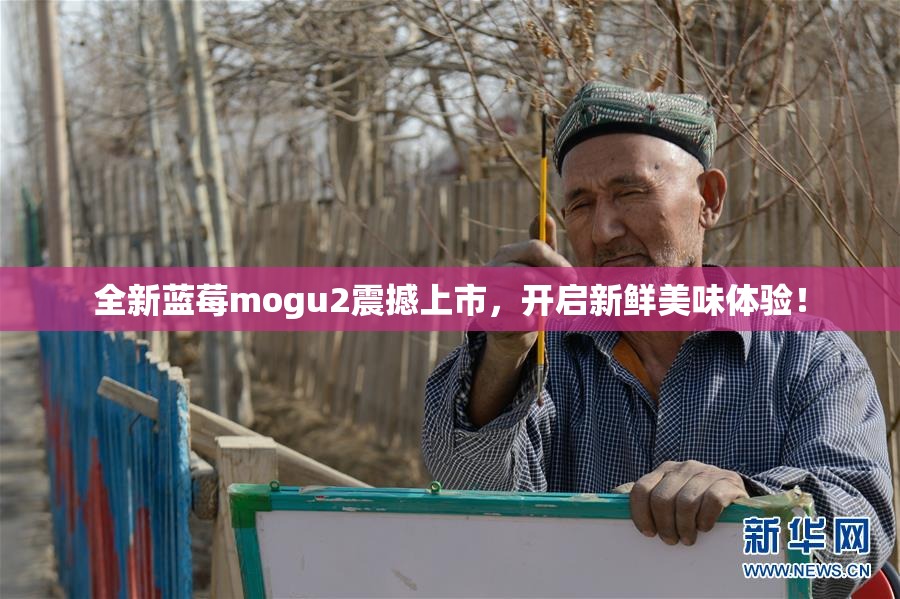 全新蓝莓mogu2震撼上市，开启新鲜美味体验！