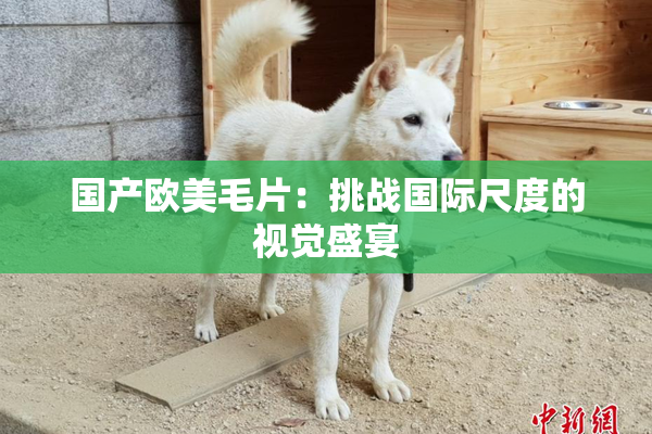 国产欧美毛片：挑战国际尺度的视觉盛宴