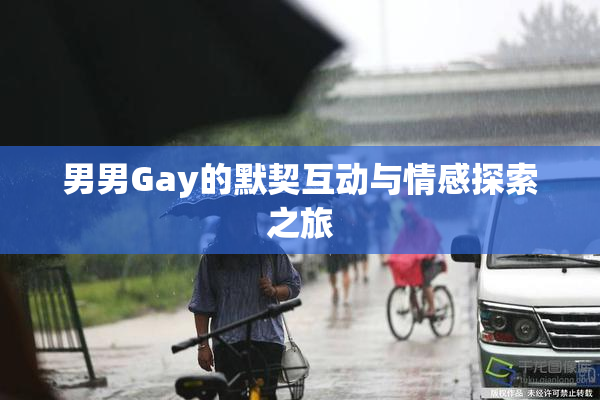 男男Gay的默契互动与情感探索之旅
