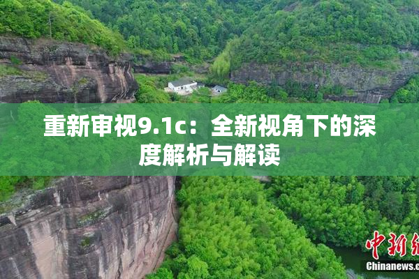 重新审视9.1c：全新视角下的深度解析与解读