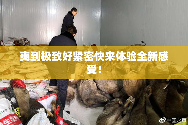 爽到极致好紧密快来体验全新感受！