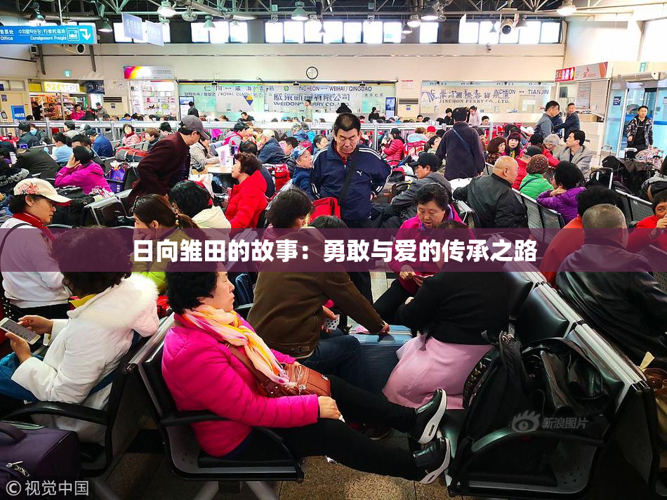 日向雏田的故事：勇敢与爱的传承之路