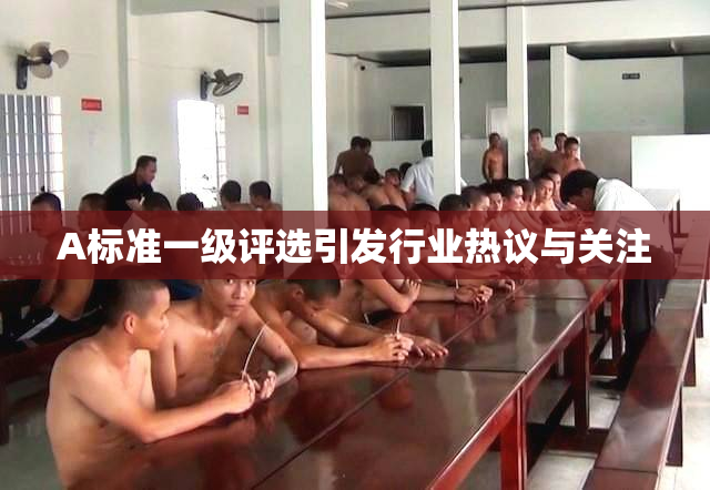 A标准一级评选引发行业热议与关注
