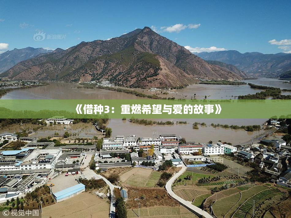 《借种3：重燃希望与爱的故事》