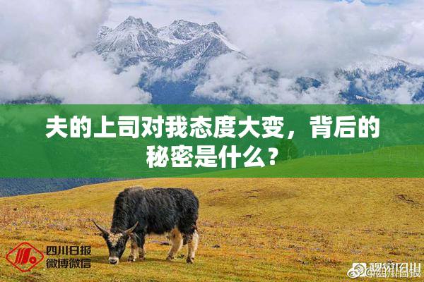 夫的上司对我态度大变，背后的秘密是什么？