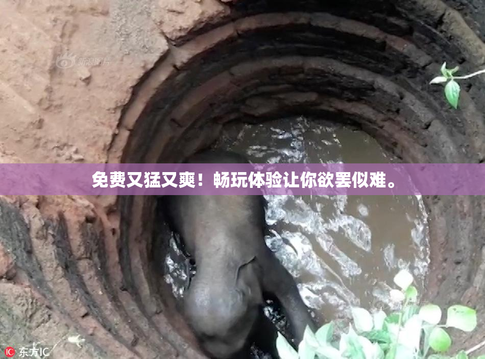 免费又猛又爽！畅玩体验让你欲罢似难。