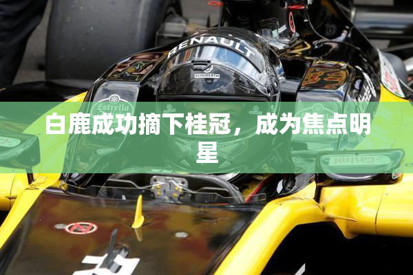 白鹿成功摘下桂冠，成为焦点明星