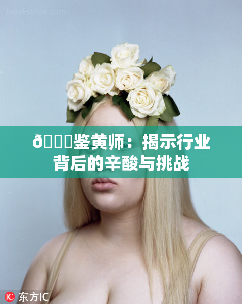 🔞鉴黄师：揭示行业背后的辛酸与挑战