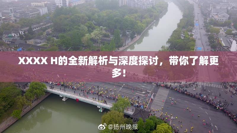 XXXX H的全新解析与深度探讨，带你了解更多！