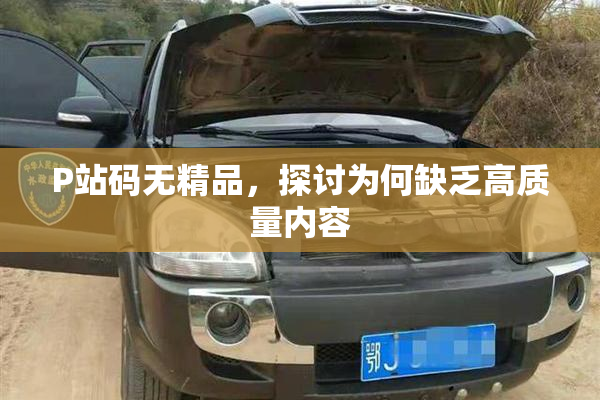P站码无精品，探讨为何缺乏高质量内容