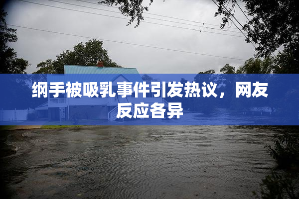 纲手被吸乳事件引发热议，网友反应各异