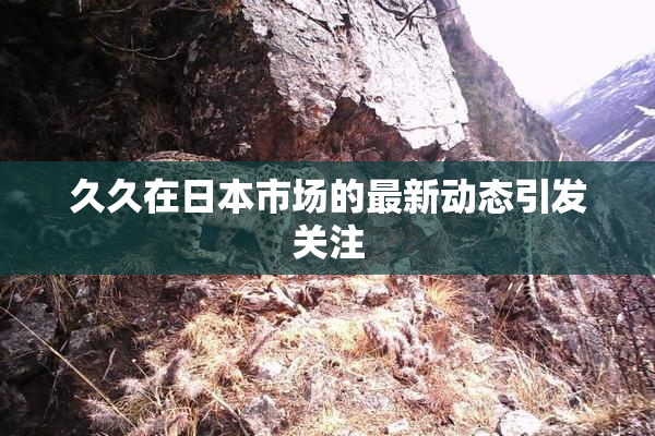 久久在日本市场的最新动态引发关注