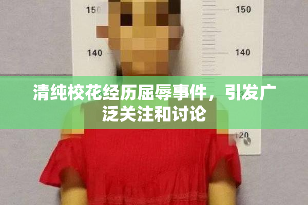 清纯校花经历屈辱事件，引发广泛关注和讨论