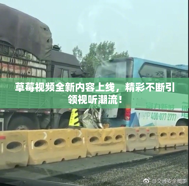 草莓视频全新内容上线，精彩不断引领视听潮流！