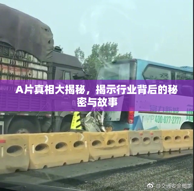 A片真相大揭秘，揭示行业背后的秘密与故事