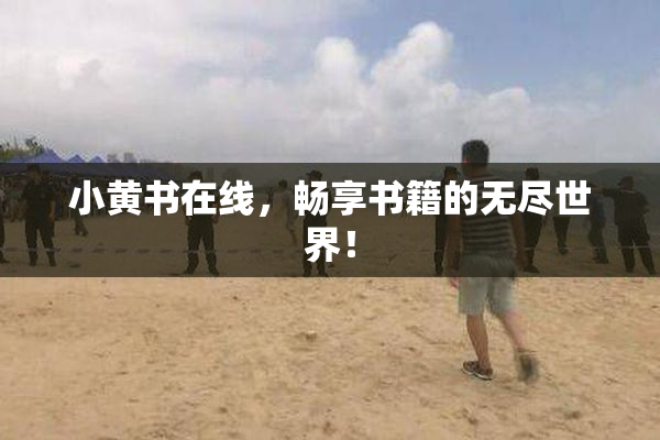 小黄书在线，畅享书籍的无尽世界！