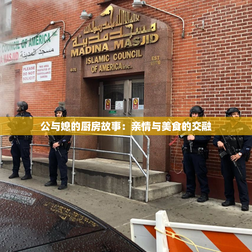 公与媳的厨房故事：亲情与美食的交融