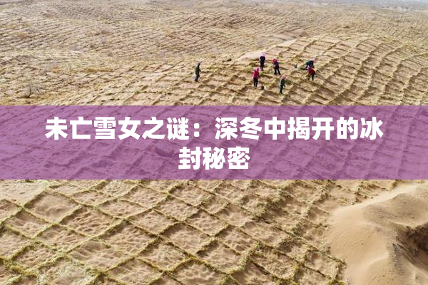 未亡雪女之谜：深冬中揭开的冰封秘密