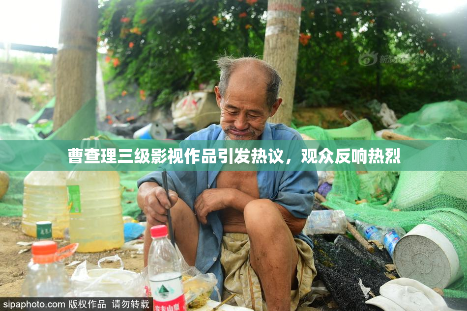 曹查理三级影视作品引发热议，观众反响热烈
