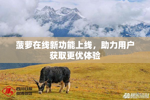 菠萝在线新功能上线，助力用户获取更优体验