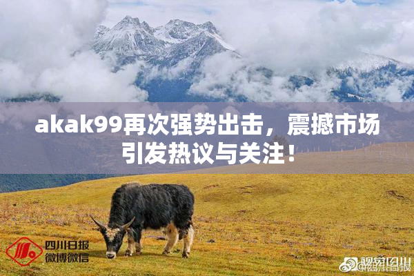 akak99再次强势出击，震撼市场引发热议与关注！