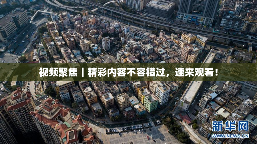 视频聚焦丨精彩内容不容错过，速来观看！