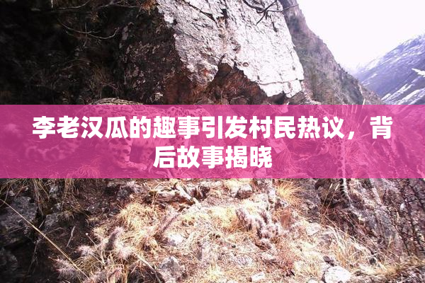 李老汉瓜的趣事引发村民热议，背后故事揭晓