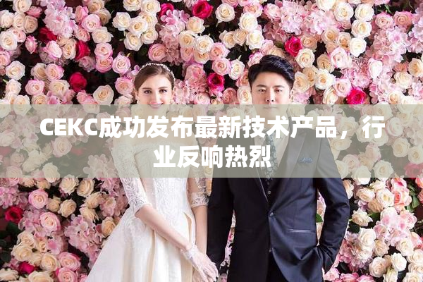 CEKC成功发布最新技术产品，行业反响热烈