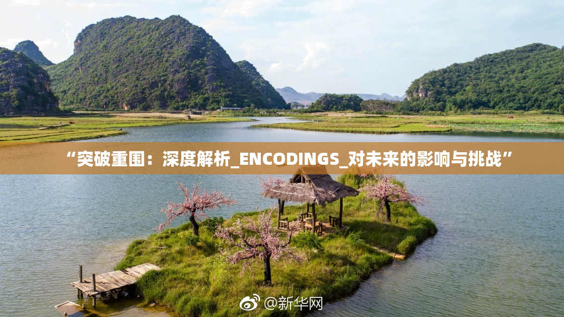 “突破重围：深度解析_ENCODINGS_对未来的影响与挑战”