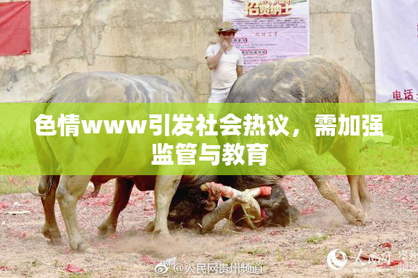色情www引发社会热议，需加强监管与教育